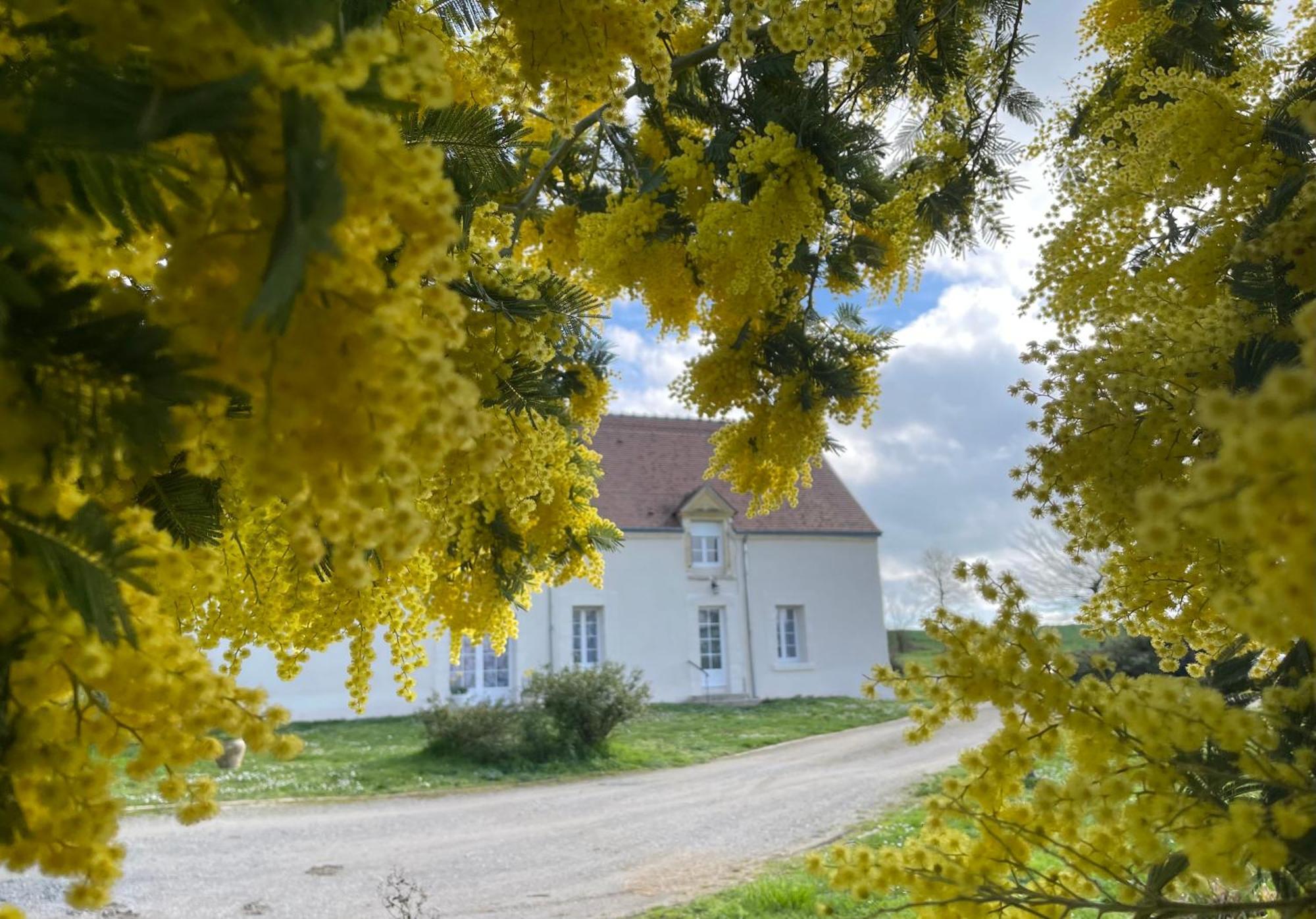 Ferienhaus Les Mimosas